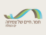 logo1 (3)